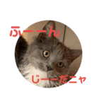 子猫のルルちゃん 2（個別スタンプ：22）