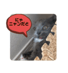 子猫のルルちゃん 2（個別スタンプ：28）