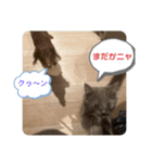 子猫のルルちゃん 2（個別スタンプ：30）