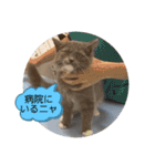 子猫のルルちゃん 2（個別スタンプ：33）