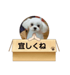 ちぃととくぅ（個別スタンプ：7）