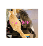 ちぃととくぅ（個別スタンプ：8）