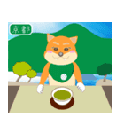 柴犬創太日本旅立ち 1（個別スタンプ：1）