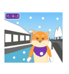 柴犬創太日本旅立ち 1（個別スタンプ：3）