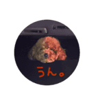 イヌのぷーさん（個別スタンプ：5）