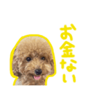 イヌのぷーさん（個別スタンプ：6）