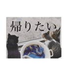 うちの猫のかわいさを知らしめたい（個別スタンプ：14）