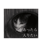 うちの猫のかわいさを知らしめたい（個別スタンプ：18）
