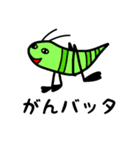 昆虫STAMP（個別スタンプ：23）