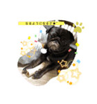 raccoっちゃっ♪（個別スタンプ：5）