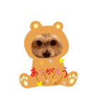 きゅんころちゃん（個別スタンプ：2）