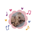 きゅんころちゃん（個別スタンプ：6）