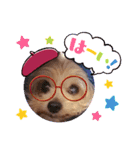 きゅんころちゃん（個別スタンプ：7）