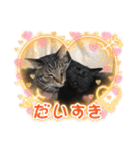 あーちゃん＆しーちゃん（個別スタンプ：8）