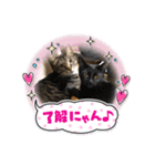 あーちゃん＆しーちゃん（個別スタンプ：9）