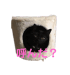 あーちゃん＆しーちゃん（個別スタンプ：12）