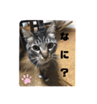あーちゃん＆しーちゃん（個別スタンプ：14）