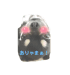 さつきちゃん❤第1弾（個別スタンプ：15）