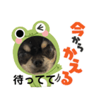 さつきちゃん❤第1弾（個別スタンプ：20）