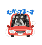 さつきちゃん❤第1弾（個別スタンプ：21）