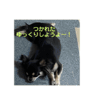 さつきちゃん❤第1弾（個別スタンプ：22）