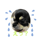 さつきちゃん❤第1弾（個別スタンプ：30）