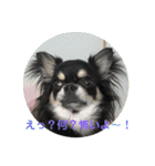 さつきちゃん❤第1弾（個別スタンプ：31）