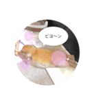 うさぎさん 生活編（個別スタンプ：6）