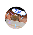 うさぎさん 生活編（個別スタンプ：8）