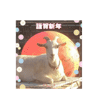 チームヤックル☆（個別スタンプ：8）