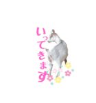 チームヤックル☆（個別スタンプ：9）