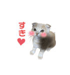 ねこのモカちゃんの日常スタンプ（個別スタンプ：15）
