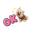 I am Kiki @0901（個別スタンプ：5）