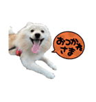 I am Kiki @0901（個別スタンプ：9）