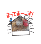 ハム挨拶（個別スタンプ：3）