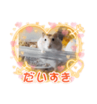 ハム挨拶（個別スタンプ：5）