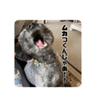 あだちけのペットスタンプ（個別スタンプ：18）