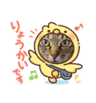 くるみナッツのスタンプ（個別スタンプ：1）