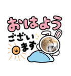 くるみナッツのスタンプ（個別スタンプ：2）
