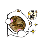 くるみナッツのスタンプ（個別スタンプ：3）