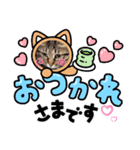 くるみナッツのスタンプ（個別スタンプ：5）