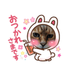 くるみナッツのスタンプ（個別スタンプ：7）