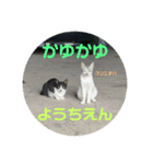 ねこたちのすたんぷ！（個別スタンプ：7）