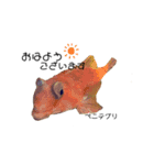 リアル深海魚スタンプ（個別スタンプ：1）