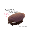 リアル深海魚スタンプ（個別スタンプ：5）