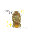 リアル深海魚スタンプ（個別スタンプ：8）