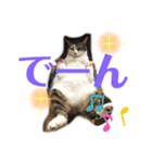 ねこのミー（いいね編）（個別スタンプ：9）