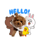 プードル犬マロン3（個別スタンプ：6）