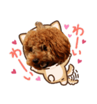 プードル犬マロン3（個別スタンプ：19）