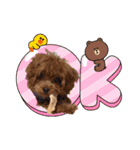 プードル犬マロン3（個別スタンプ：20）